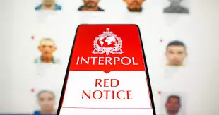 Red Notice Removal: Legal Assistance in Interpol Case